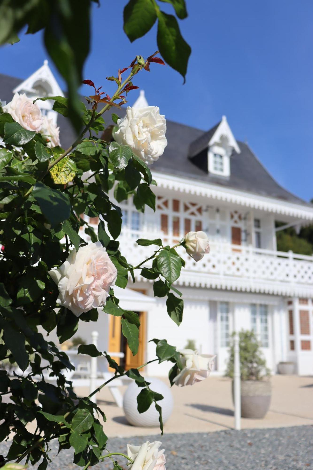 Hotel White House, Maison D'Hotes Villequier Esterno foto